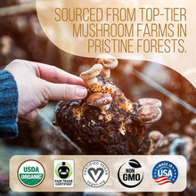 Load image into Gallery viewer, La Republica Organic GROUND Coffee w Full-Fruiting Mushrooms