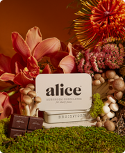 Load image into Gallery viewer, Brainstorm mushroom chocolate supplement for focus and cognitive energy