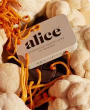 Load image into Gallery viewer, Brainstorm — mushroom chocolate supplement for focus