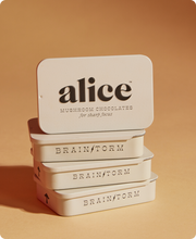 Load image into Gallery viewer, Brainstorm — mushroom chocolate supplement for focus