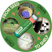 Load image into Gallery viewer, Olloïs Arnica Montana 30C Vegan Organic Kosher, 80 pellets