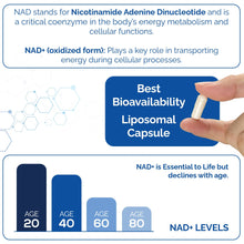 Load image into Gallery viewer, HARMONIFY NAD Supplement (500mg of 95% Pure NAD+ Per Serving, 30-Day Supply) – Vegan, Non-GMO, NAD Booster for Longevity, Anti-Aging, Cellular Health, and Energy