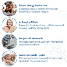 Load image into Gallery viewer, HARMONIFY NAD Supplement (500mg of 95% Pure NAD+ Per Serving, 30-Day Supply) – Vegan, Non-GMO, NAD Booster for Longevity, Anti-Aging, Cellular Health, and Energy